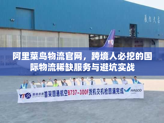阿里菜鸟物流官网,跨境人必挖的国际物流稀缺服务与避坑实战 阿里菜鸟物流官网,跨境人必挖的国际物流稀缺服务与避坑实战
