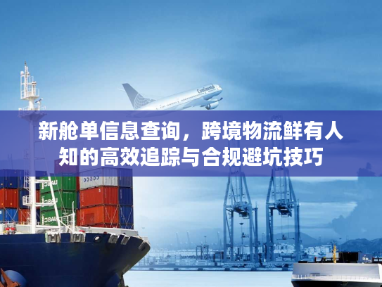 新舱单信息查询,跨境物流鲜有人知的高效追踪与合规避坑技巧 新舱单信息查询,跨境物流鲜有人知的高效追踪与合规避坑技巧