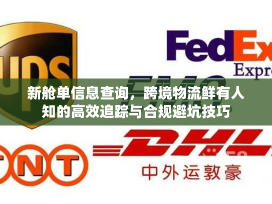 新舱单信息查询，跨境物流鲜有人知的高效追踪与合规避坑技巧