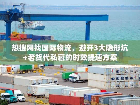 想搜网找国际物流,避开3大隐形坑+老货代私藏的时效提速方案 想搜网找国际物流,避开3大隐形坑+老货代私藏的时效提速方案