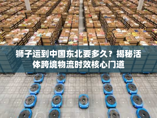 狮子运到中国东北要多久？揭秘活体跨境物流时效核心门道