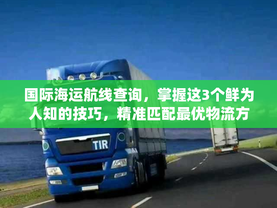 国际海运航线查询，掌握这3个鲜为人知的技巧，精准匹配最优物流方案