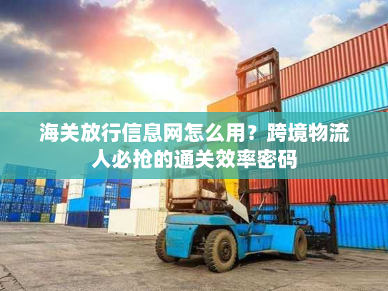 海关放行信息网怎么用?跨境物流人必抢的通关效率密码 海关放行信息网怎么用?跨境物流人必抢的通关效率密码