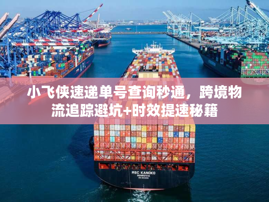 小飞侠速递单号查询秒通，跨境物流追踪避坑+时效提速秘籍
