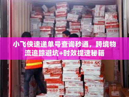 小飞侠速递单号查询秒通，跨境物流追踪避坑+时效提速秘籍