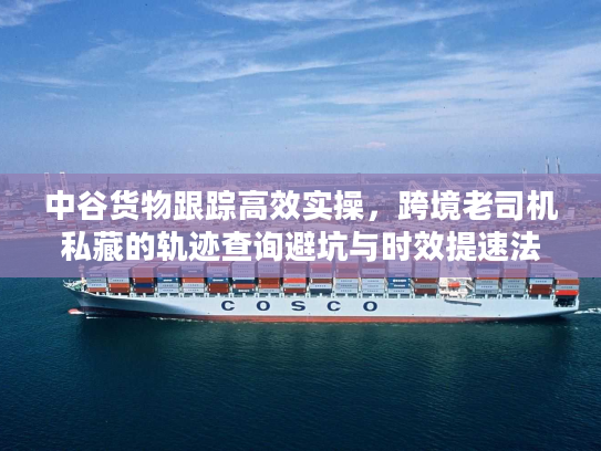 中谷货物跟踪高效实操，跨境老司机私藏的轨迹查询避坑与时效提速法