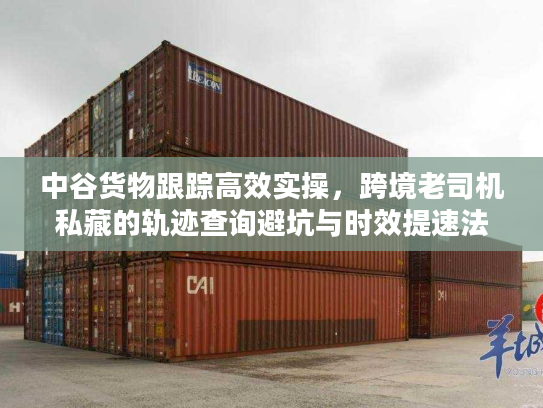 中谷货物跟踪高效实操，跨境老司机私藏的轨迹查询避坑与时效提速法