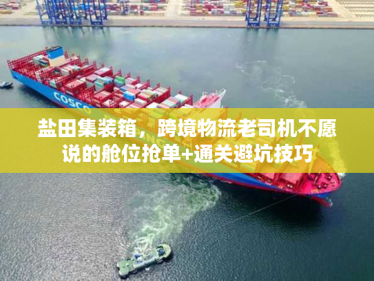盐田集装箱，跨境物流老司机不愿说的舱位抢单+通关避坑技巧