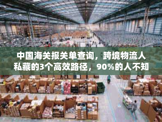 中国海关报关单查询,跨境物流人私藏的3个高效路径,90%的人不知道 中国海关报关单查询,跨境物流人私藏的3个高效路径,90%的人不知道