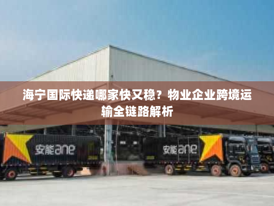 海宁国际快递哪家快又稳?物业企业跨境运输全链路解析 海宁国际快递哪家快又稳?物业企业跨境运输全链路解析