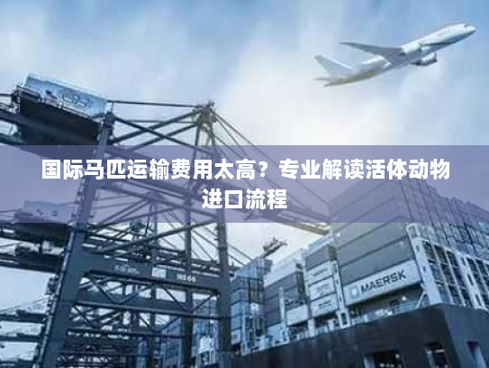 国际马匹运输费用太高？专业解读活体动物进口流程