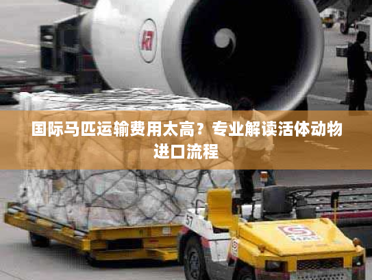 国际马匹运输费用太高?专业解读活体动物进口流程 国际马匹运输费用太高?专业解读活体动物进口流程