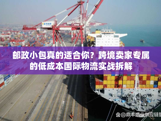 邮政小包真的适合你？跨境卖家专属的低成本国际物流实战拆解