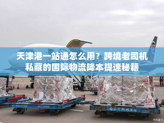 天津港一站通怎么用?跨境老司机私藏的国际物流降本提速秘籍 天津港一站通怎么用?跨境老司机私藏的国际物流降本提速秘籍