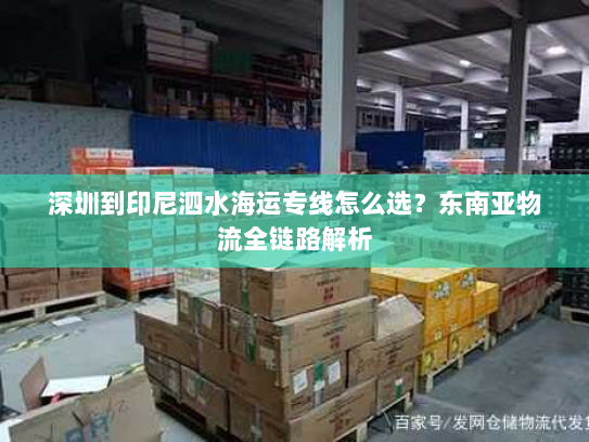 深圳到印尼泗水海运专线怎么选？东南亚物流全链路解析