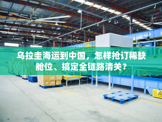 乌拉圭海运到中国，怎样抢订稀缺舱位、搞定全链路清关？