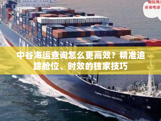 中谷海运查询怎么更高效？精准追踪舱位、时效的独家技巧