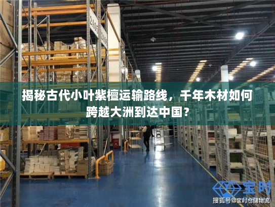 揭秘古代小叶紫檀运输路线,千年木材如何跨越大洲到达中国? 揭秘古代小叶紫檀运输路线,千年木材如何跨越大洲到达中国?