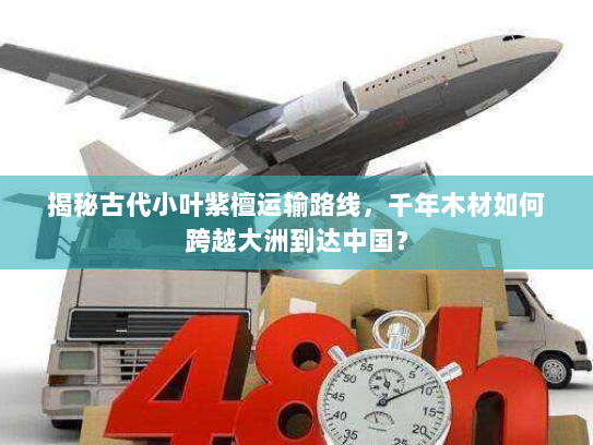 揭秘古代小叶紫檀运输路线,千年木材如何跨越大洲到达中国? 揭秘古代小叶紫檀运输路线,千年木材如何跨越大洲到达中国?