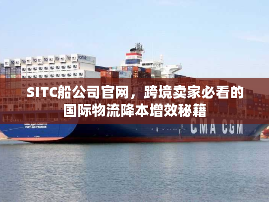 SITC船公司官网，跨境卖家必看的国际物流降本增效秘籍