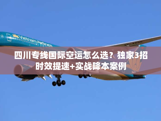 四川专线国际空运怎么选？独家3招时效提速+实战降本案例