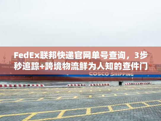 FedEx联邦快递官网单号查询，3步秒追踪+跨境物流鲜为人知的查件门道