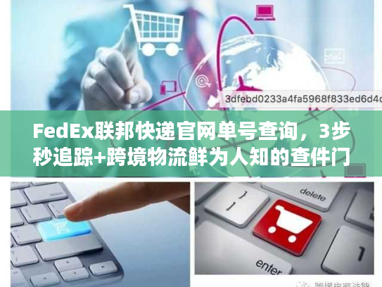FedEx联邦快递官网单号查询，3步秒追踪+跨境物流鲜为人知的查件门道
