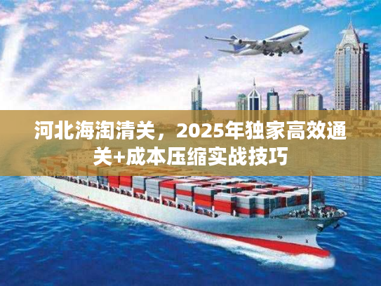 河北海淘清关,2025年独家高效通关+成本压缩实战技巧 河北海淘清关,2025年独家高效通关+成本压缩实战技巧