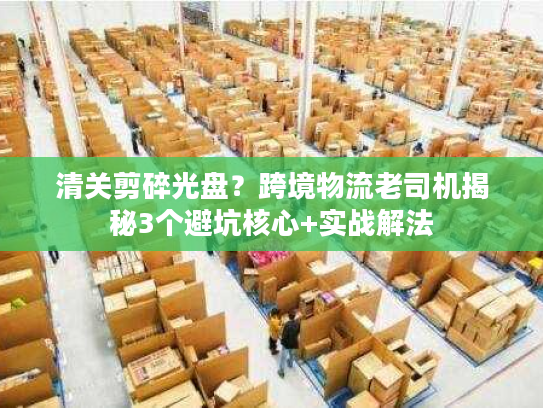 清关剪碎光盘？跨境物流老司机揭秘3个避坑核心+实战解法