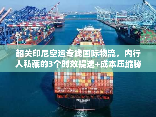 韶关印尼空运专线国际物流，内行人私藏的3个时效提速+成本压缩秘籍