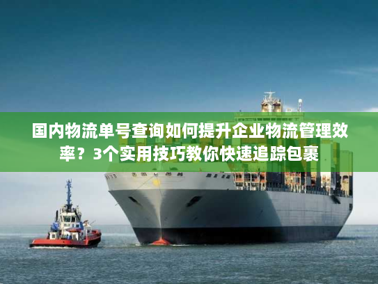 国内物流单号查询如何提升企业物流管理效率？3个实用技巧教你快速追踪包裹
