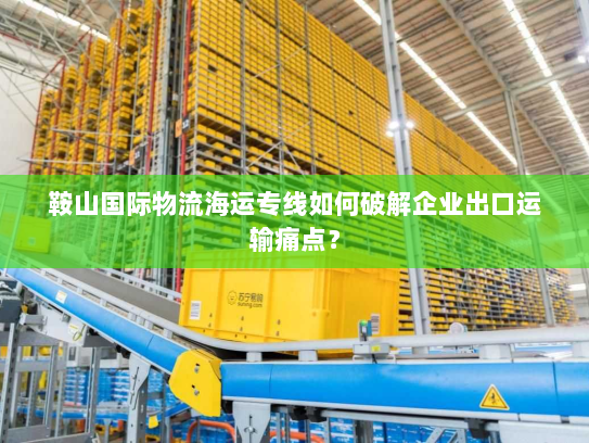 鞍山国际物流海运专线如何破解企业出口运输痛点? 鞍山国际物流海运专线如何破解企业出口运输痛点?