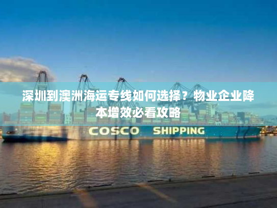 深圳到澳洲海运专线如何选择？物业企业降本增效必看攻略
