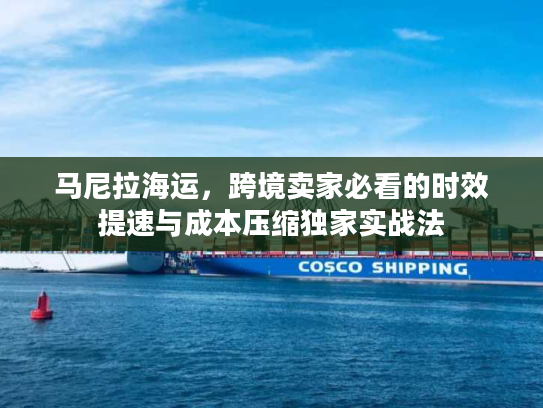 马尼拉海运，跨境卖家必看的时效提速与成本压缩独家实战法