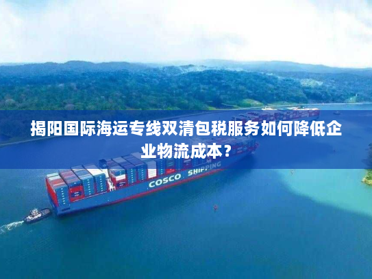 揭阳国际海运专线双清包税服务如何降低企业物流成本? 揭阳国际海运专线双清包税服务如何降低企业物流成本?