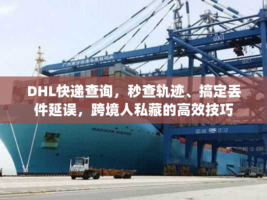 DHL快递查询，秒查轨迹、搞定丢件延误，跨境人私藏的高效技巧