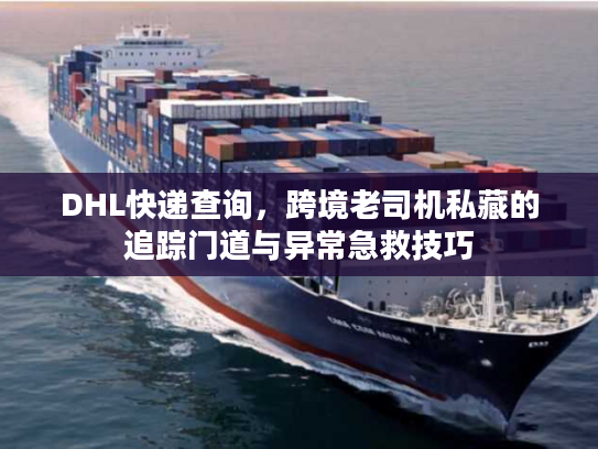 DHL快递查询,跨境老司机私藏的追踪门道与异常急救技巧 DHL快递查询,跨境老司机私藏的追踪门道与异常急救技巧