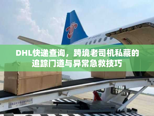 DHL快递查询,跨境老司机私藏的追踪门道与异常急救技巧 DHL快递查询,跨境老司机私藏的追踪门道与异常急救技巧