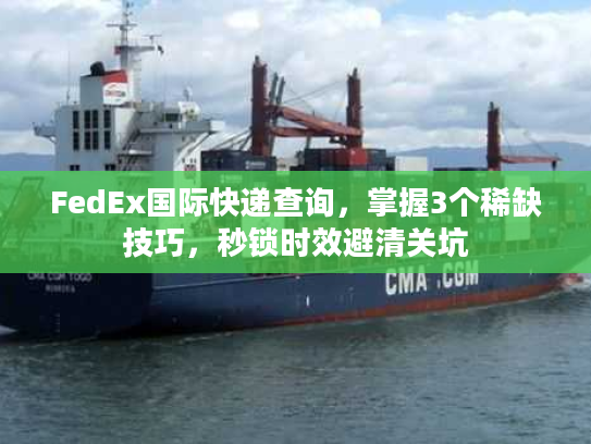 FedEx国际快递查询,掌握3个稀缺技巧,秒锁时效避清关坑 FedEx国际快递查询,掌握3个稀缺技巧,秒锁时效避清关坑