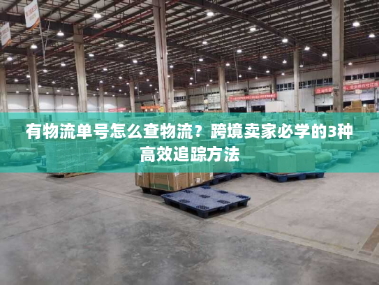 有物流单号怎么查物流?跨境卖家必学的3种高效追踪方法 有物流单号怎么查物流?跨境卖家必学的3种高效追踪方法