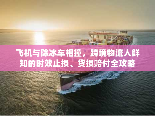 飞机与除冰车相撞,跨境物流人鲜知的时效止损、货损赔付全攻略 飞机与除冰车相撞,跨境物流人鲜知的时效止损、货损赔付全攻略