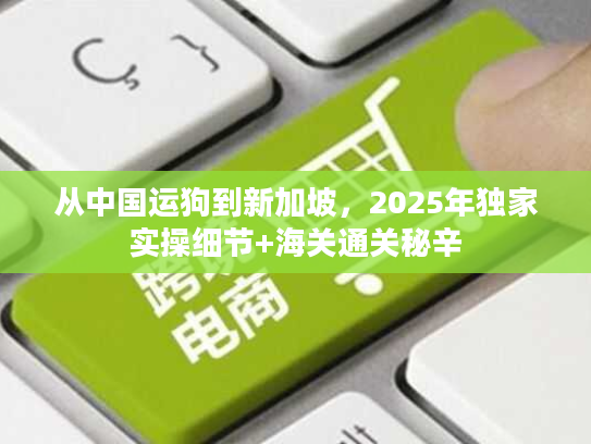 从中国运狗到新加坡,2025年独家实操细节+海关通关秘辛 从中国运狗到新加坡,2025年独家实操细节+海关通关秘辛