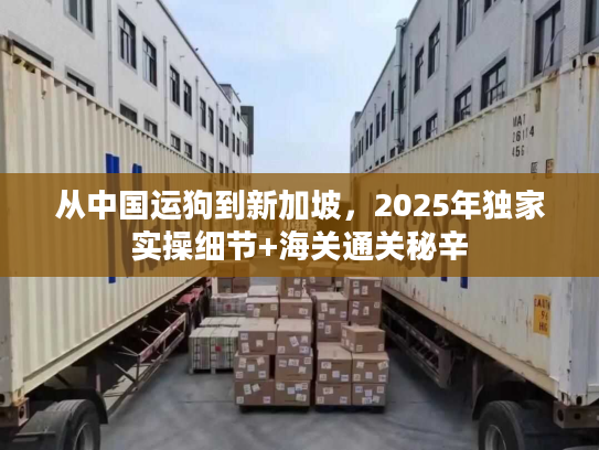 从中国运狗到新加坡,2025年独家实操细节+海关通关秘辛 从中国运狗到新加坡,2025年独家实操细节+海关通关秘辛