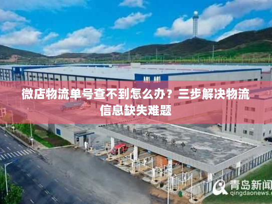 微店物流单号查不到怎么办？三步解决物流信息缺失难题