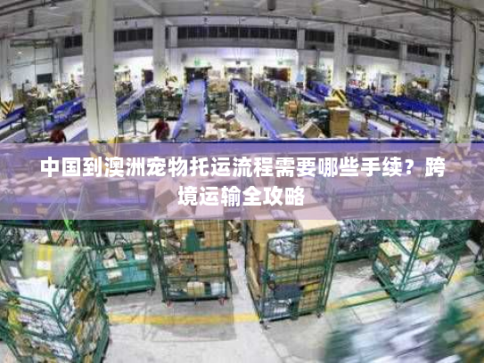 中国到澳洲宠物托运流程需要哪些手续?跨境运输全攻略 中国到澳洲宠物托运流程需要哪些手续?跨境运输全攻略