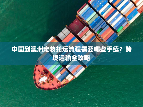 中国到澳洲宠物托运流程需要哪些手续?跨境运输全攻略 中国到澳洲宠物托运流程需要哪些手续?跨境运输全攻略