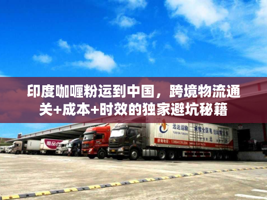印度咖喱粉运到中国，跨境物流通关+成本+时效的独家避坑秘籍