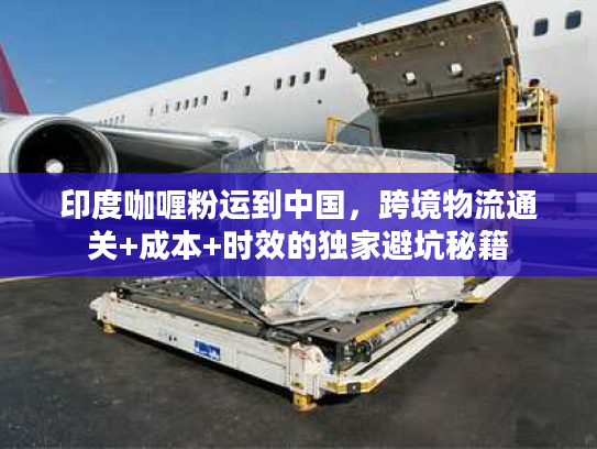 印度咖喱粉运到中国，跨境物流通关+成本+时效的独家避坑秘籍