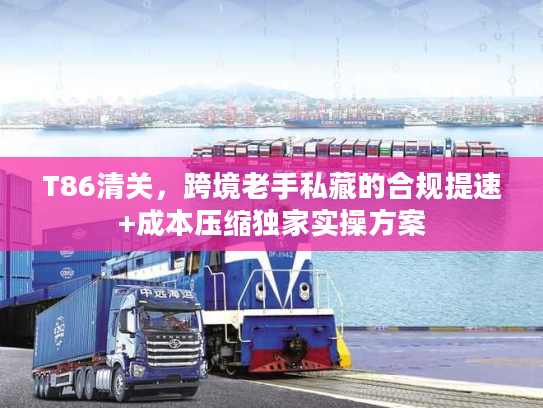 T86清关,跨境老手私藏的合规提速+成本压缩独家实操方案 T86清关,跨境老手私藏的合规提速+成本压缩独家实操方案