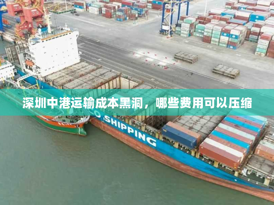 深圳中港运输成本黑洞,哪些费用可以压缩 深圳中港运输成本黑洞,哪些费用可以压缩